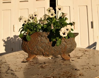 W006Y- oude Franse gietijzeren jardiniere
