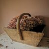 brocante Franse oogstbak plukbak