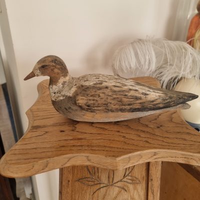 antieke houten lokvogel lokeend