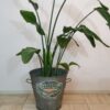 brocante zinken wasteil wasemmer - Afbeelding 2